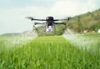 5 Drone Data Insights