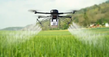 5 Drone Data Insights