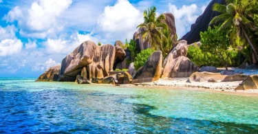 Tropical