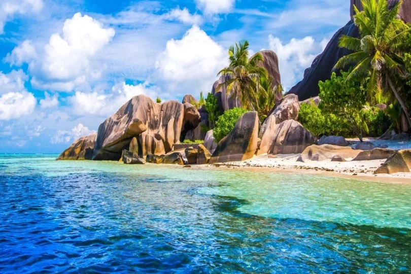 Tropical