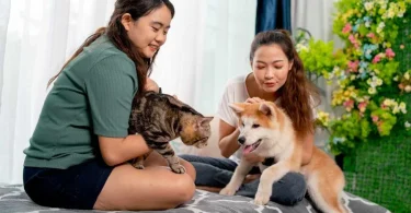 Pet-Friendly Living