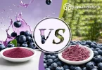 Blueberry Juice Powder