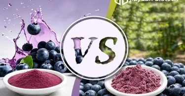 Blueberry Juice Powder