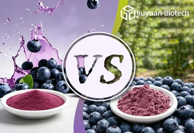 Blueberry Juice Powder