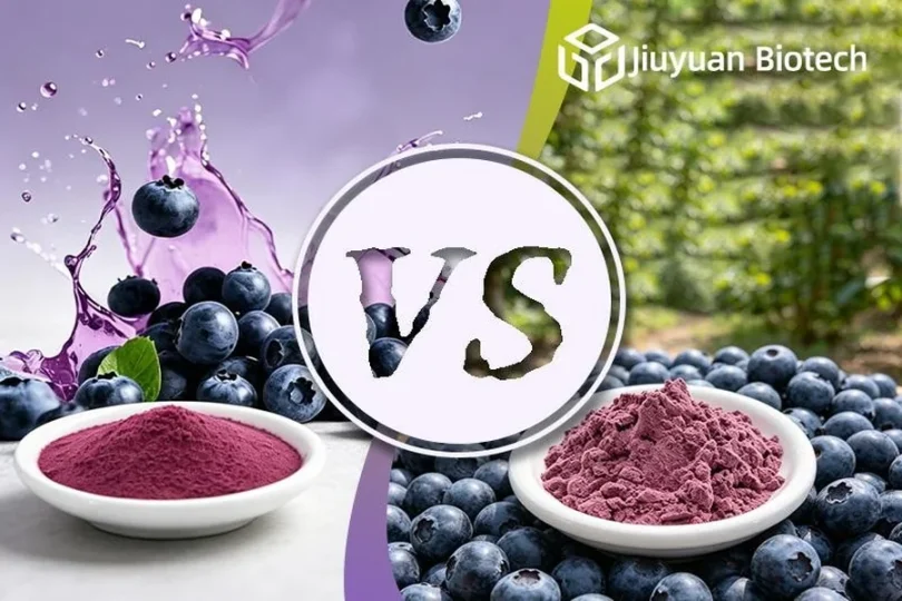 Blueberry Juice Powder