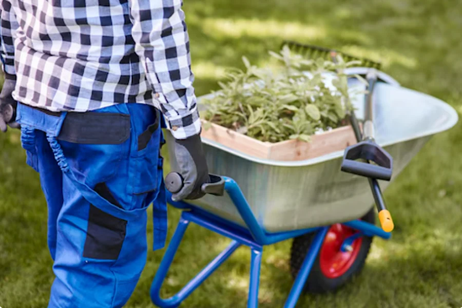 Lawn 