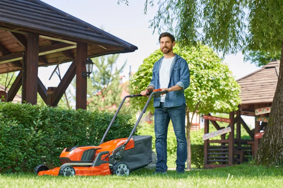 Lawn 