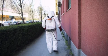 Professional